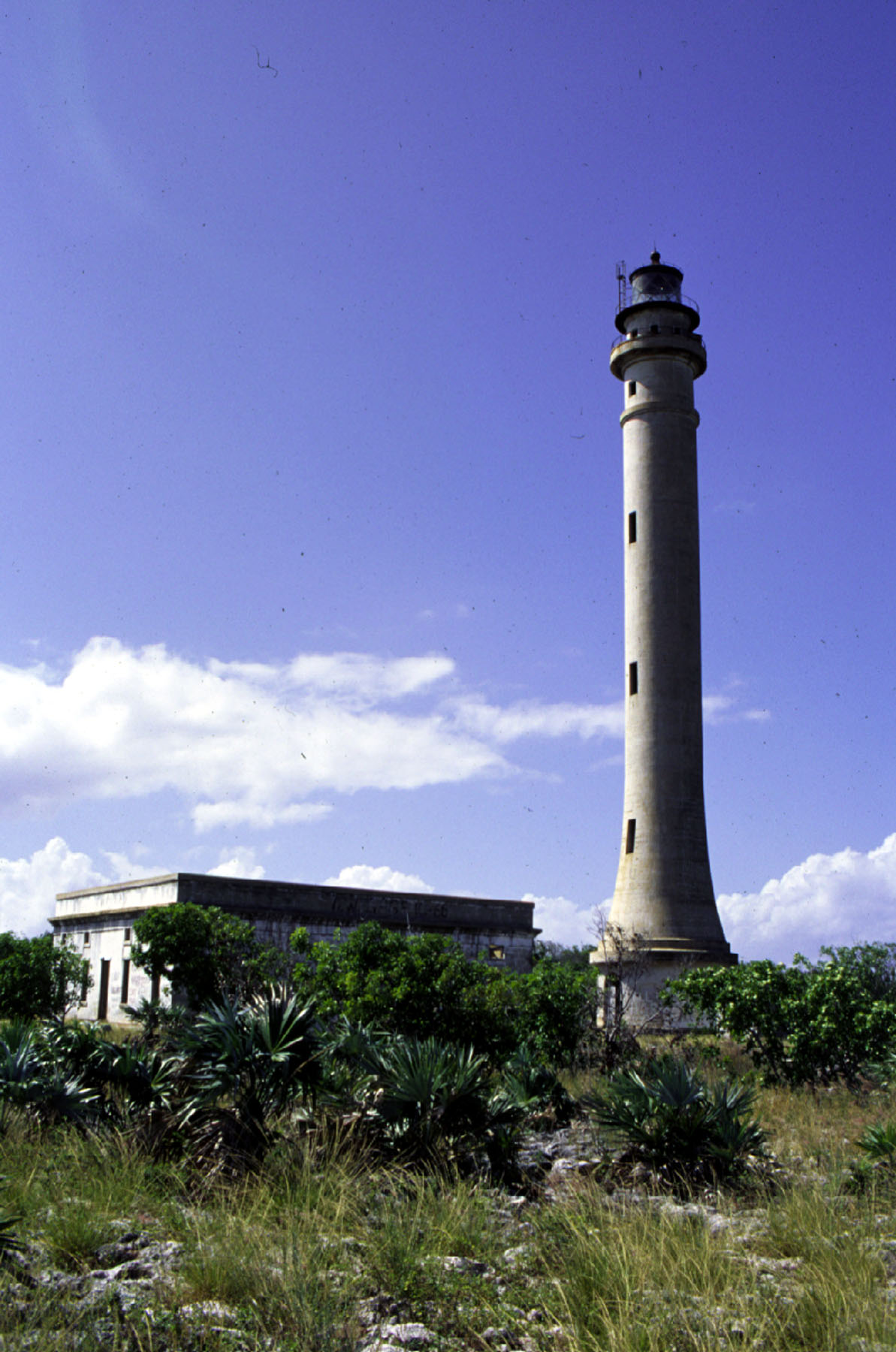 Navassa Island Light tower.